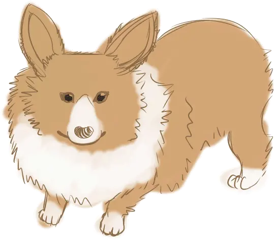 Corgi Clipart Cute Transparent Free Dancing Corgi Gif Transparent Png Corgi Transparent