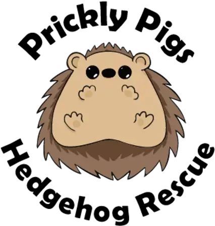 Found A Hedgehog Prickly Pigs Rescue Big Png Hedgehog Logo