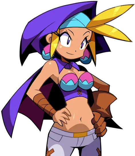 Sky Hgh 4 Shantae Half Genie Hero Sky Png Shantae Png