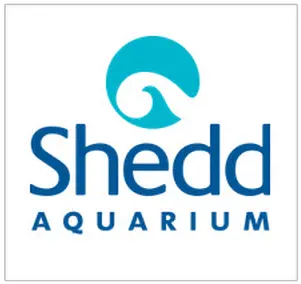 Biddingowl St Jude School Auction Shedd Aquarium Png A Day To Remember Logo Transparent