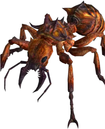 Fire Ant Fallout New Vegas Fire Ant Png Ant Transparent