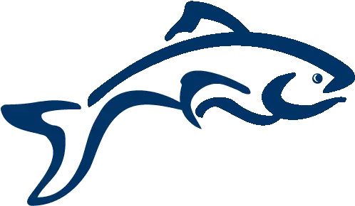 Solofish Studio Design And Strategy Transparent Logo Design Fish Logo Png Fish Logo