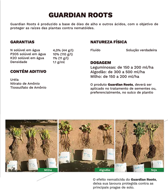 Guardian Roots Fertibean Palm Tree Png Roots Png