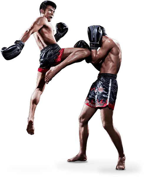 Mma Fight Png Image All Muay Thai Flying Knee Fight Png