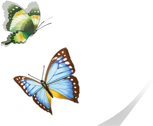 Butterfly Flying Png Download Mariposas Volando Png Real Butterfly Png