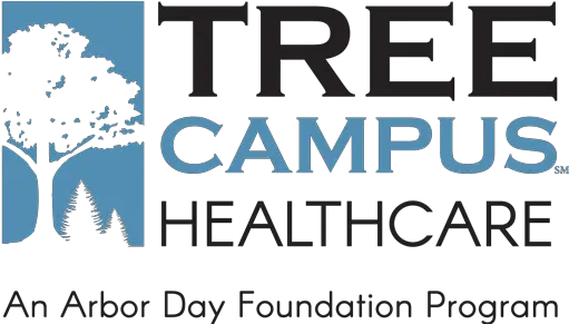 Tree Campus Healthcare The Arbor Day Foundation Colorado Spruce Png Trees In Plan Png