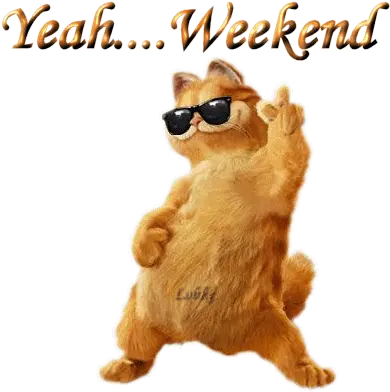 Dancing Cat Weekend Animated Picture Weekend Gif Animated Png Dancing Cat Gif Transparent