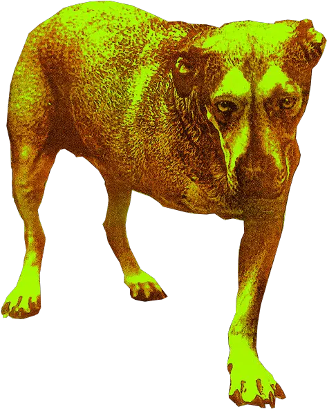 High Quality Tripod Png Yes Unexpectedtripod Alice In Chains Alice In Chains Yes Png