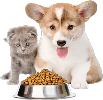 Pet Food Cat And Dog Food Png Dog Food Png