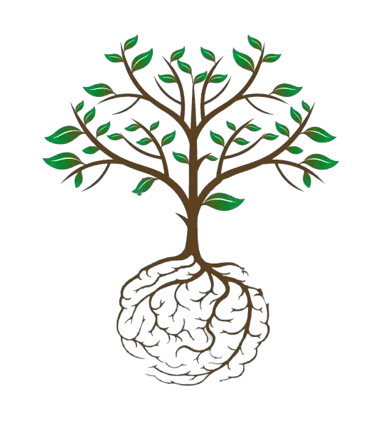 Tree Roots Png Brain Root Tree Tree Roots Png