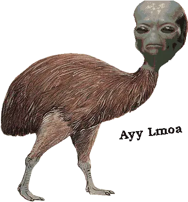 Dank Memes Dank Meme Dungeon Angry Red Eye Dank Meme Png Dank Png