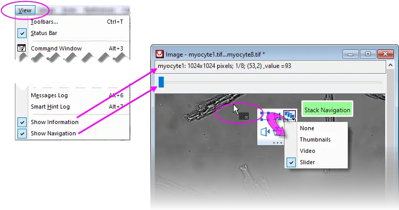 Help Online User Guide Matrix Book Matrix Sheet Matrix Dot Png Random Note Pads After Dragging Desktop Icon