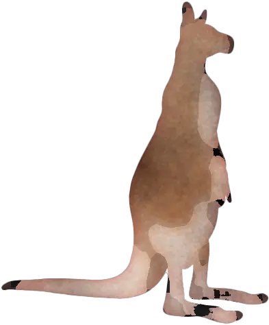 Kangaroo Wallaby Png Transparent Picture Mart Kangaroo Kangaroo Transparent