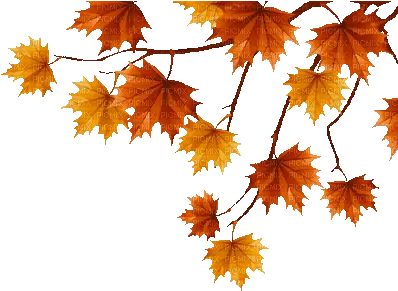 Free Animated Autumn Leaves Clipart Transparent Autumn Leaf Gif Png Falling Leaves Gif Transparent