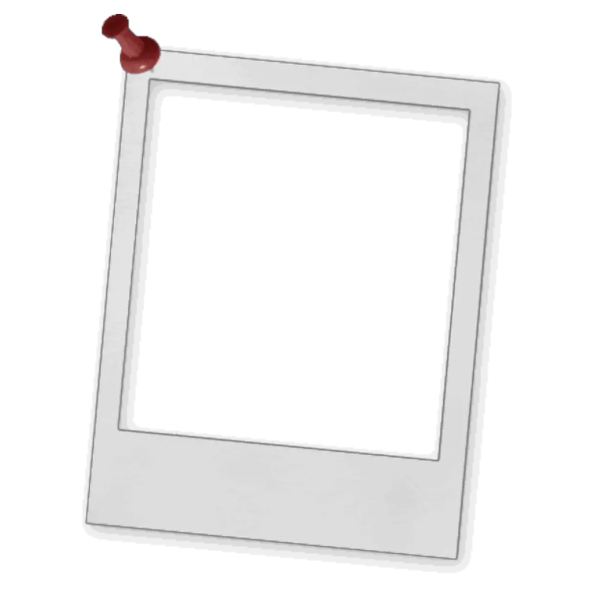 Polaroid Png Logo
