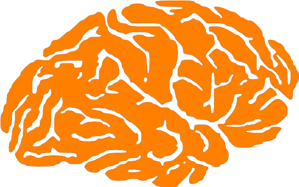Brain Logo Png 1 Image Brain Silhouette Png Brain Logo