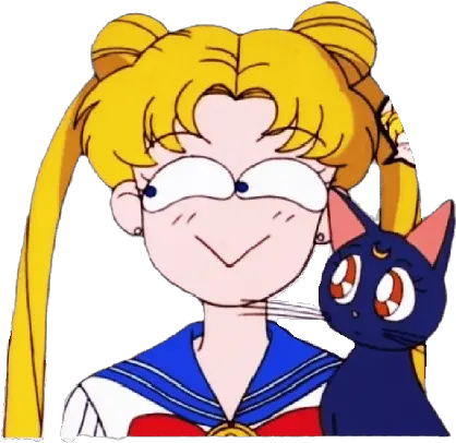 Sailor Moon Sailor Moon Stickers Png Sailor Moon Transparent