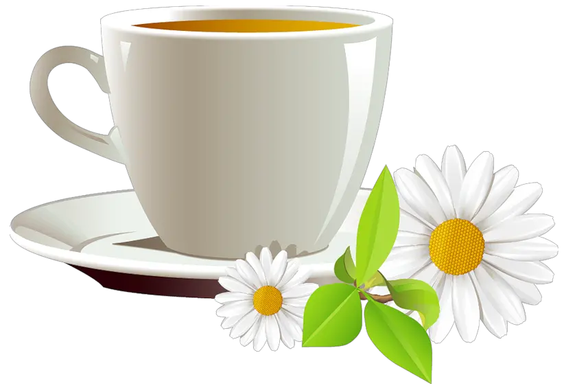 Download Hd Coffee Clipart Illustration Png Tea Cup Coffee Hot Tea Good Morning Cup Of Tea Coffee Clipart Png