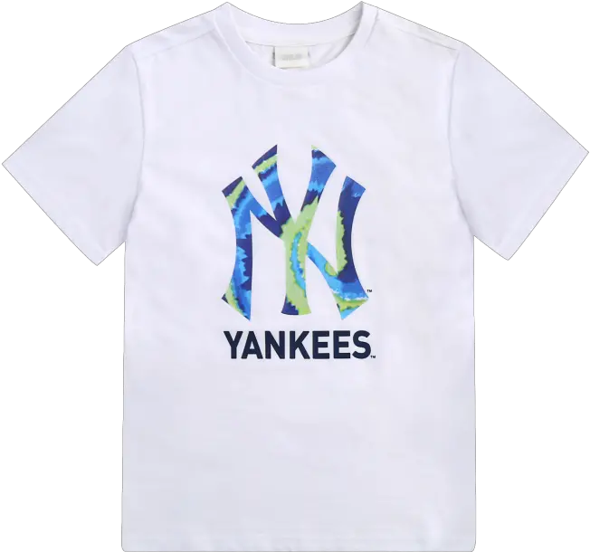 Tie Freestyle Zone Png New York Yankees Logo Png