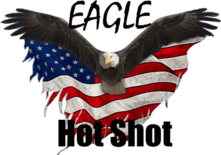 Eagle Hot Shot Transport Service 918 884 9421 Eagle United States Logo Png Bald Eagle Transparent