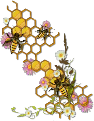 Bee Art Clipart Honeycomb With Bees Drawing Png Bee Clipart Png