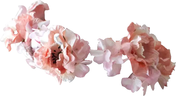 Transparent Flowers Transparent Flowers Flower Crown Flowers Wreath Png Flower Crown Transparent