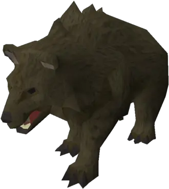 Grizzly Bear Grizzly Bear Png Grizzly Bear Png