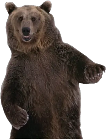 Download Brown Bear Png Image For Free Dancing Bear No Background Grizzly Bear Png