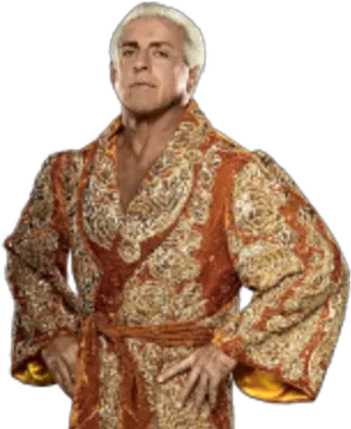 Ric Flair Pro Wrestling Fandom Ric Flair Cut Out Png Flair Png