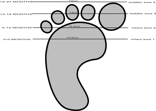 Baby Shoe Size Guide Clip Art Vector Clip Art Baby Shoe Sizes C Png Baby Shoes Png