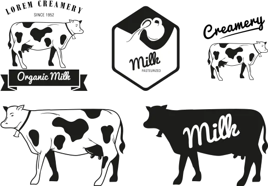 Milk Holstein Friesian Cattle Dairy Logo Milk Cow Cow Logo Png Cow Logo