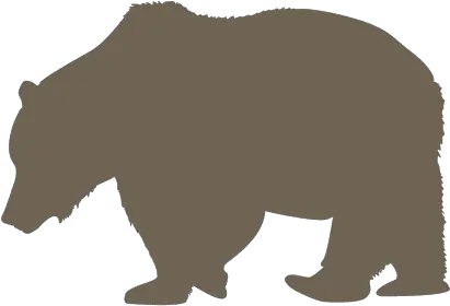 Sloth Bear Png Picture 427240 Transparent Bear Silhouette Png Polar Bear Png
