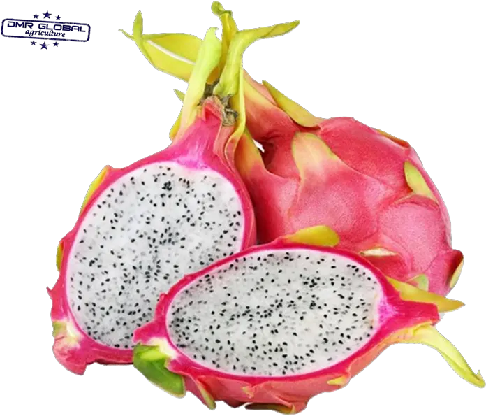 Dragon Fruit Png Fruit With White Inside Dragon Fruit Png