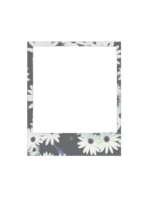 Png Polaroid Template