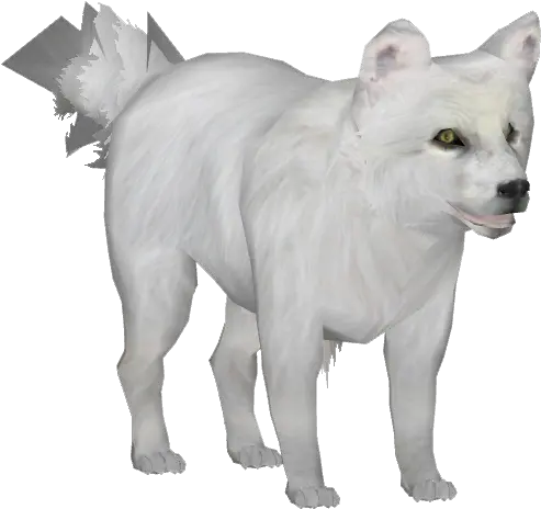 Arctic Fox W Zoo Tycoon 2 Png Arctic Fox Png