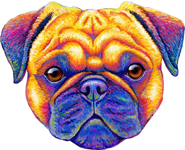 Colorful Rainbow Pug Dog Portrait Adult Pull Over Hoodie For Pug Png Colorful Pug Icon