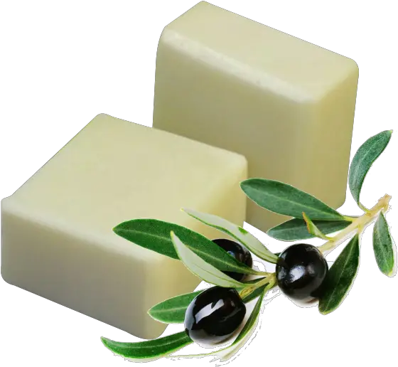 Soap Icon Web Icons Png Art Palestine Olive Trees Soap Png