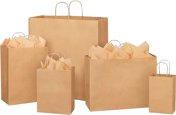 Buy Paper Bags Bulk India Manufacturer Jewelry Paper Bags Size Png Paper Bag Png