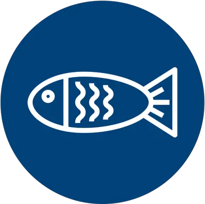 About Transnational Alliance To Combat Illicit Trade Fish Png Dead Fish Icon