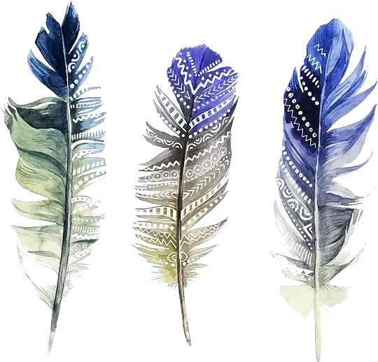 Download Hd Feather Watercolor Painting Illustration Watercolor Transparent Feather Hd Png Feather Transparent