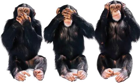 Download Hear No Evil Png Clip Art See No Evil Hear No Evil Speak No Evil Png Hear Png