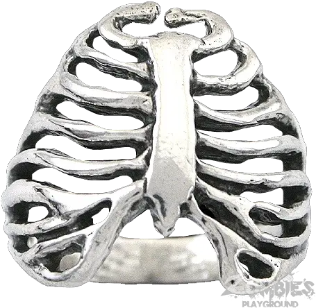 Download Sterling Silver Rib Cage Ring Raven Blackwood Rib Png Rib Cage Png