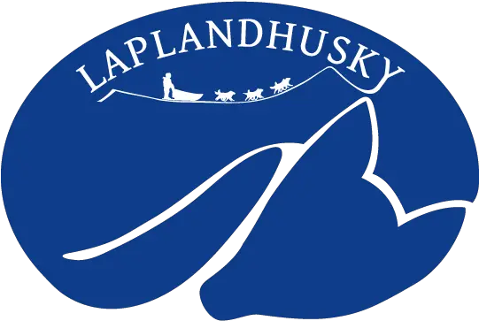 Husky Tours Swedish Lapland Harads Laplandhusky Clip Art Png Husky Transparent