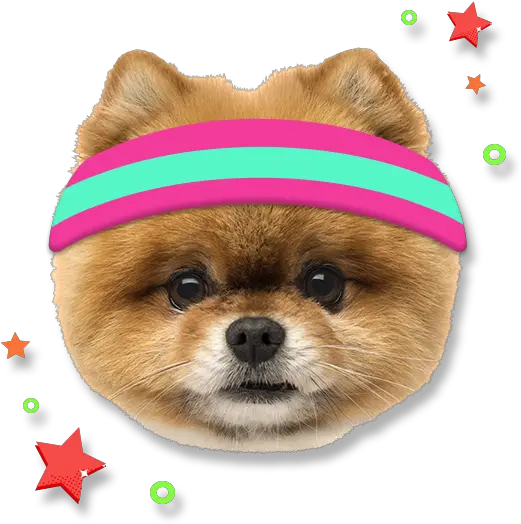 Mike The Knight S1 Ep112 Dog Clothes Png Alpha Icon Dog Clothes