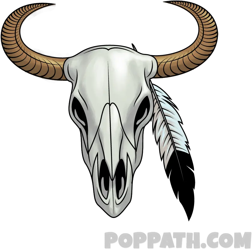 Bull Skull Png Longhorn Skull Png Transparent Background Draw A Cow Skull Cow Skull Png