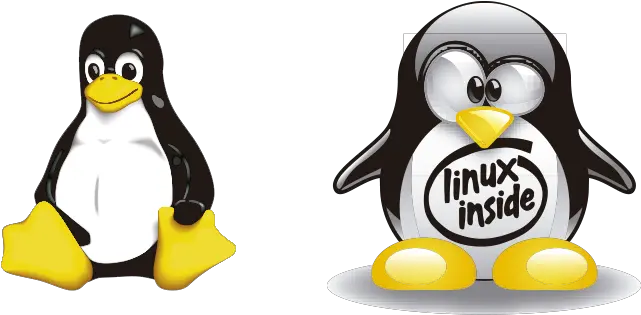 Linux Logo Vector 3 Most Common Operating Systems For Personal Computers Png Linux Logo Png