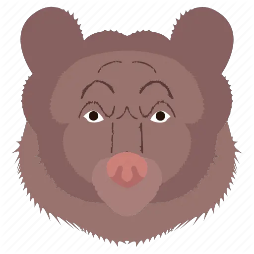 Animal Bear Face Zoo Icon Ugly Png Bear Face Icon