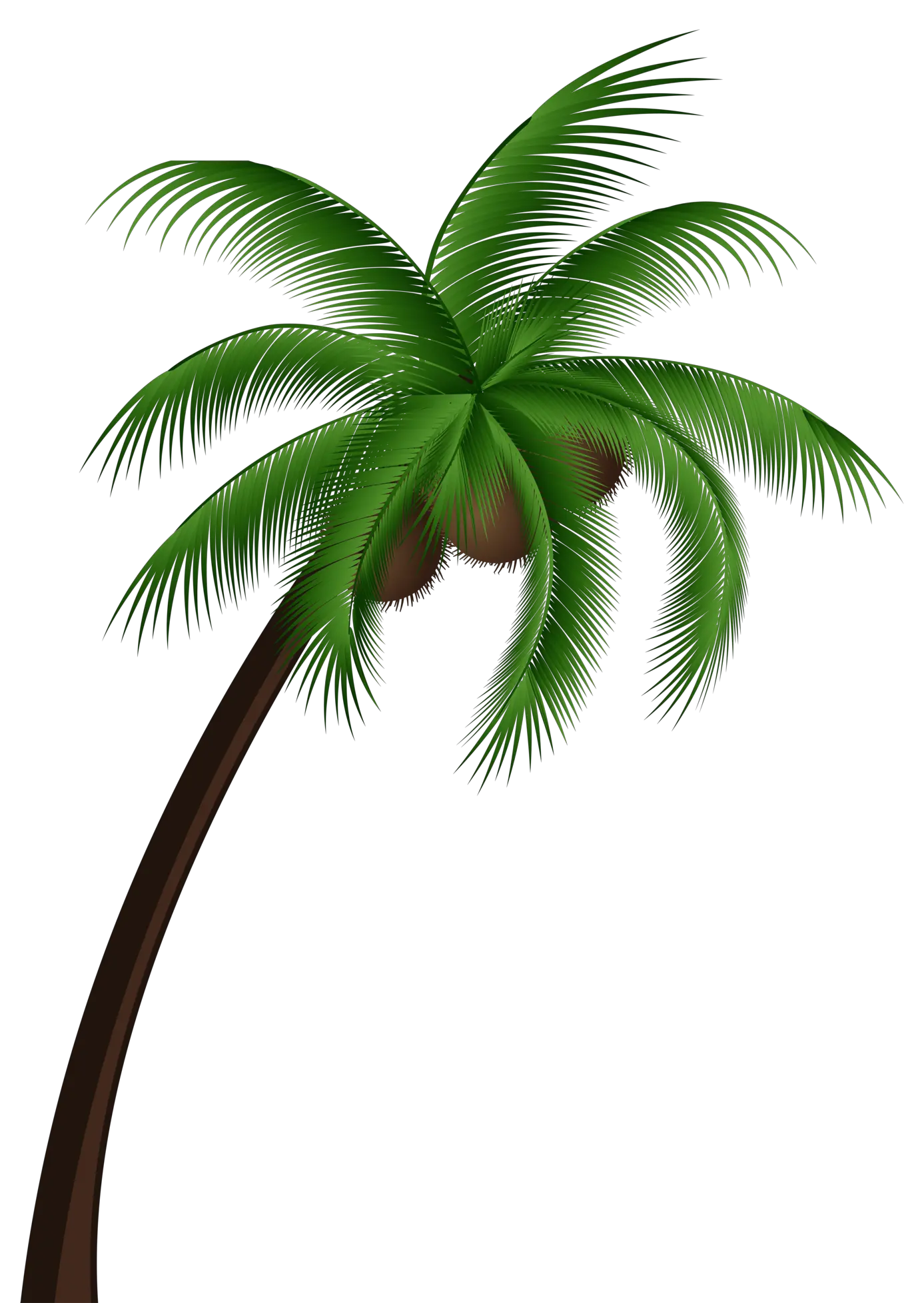 Jamaica Palm Tree Png