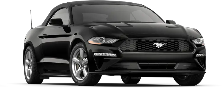 2018 Ford Mustang Ecoboost 2 Door Rwd Convertible Options Colores De Mustang 2019 Png Ford Mustang Png