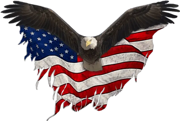 Eagle Hot Shot Transport Service 918 884 9421 Eagle United States Png Eagle Logo Transparent